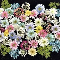 みぃ様 リクエスト 3点 まとめ商品