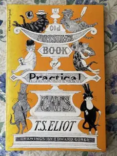 Old POSSUM'S BOOK Practical CATS