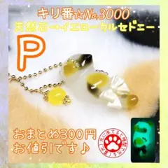 5キリ番 ポーチ ハンドメイド レジン 猫 チャーム サバトラ - メルカリ