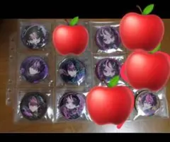 シクフォニ　LANセット「お値下げ」