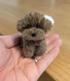手乗りわんこ　トイプードル　全身　マット付