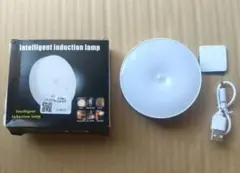 LED人感センサーライト２個