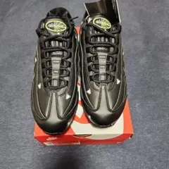 NIKE AIR MAX 95 26cmハウスフライハエナイキエアマックス95
