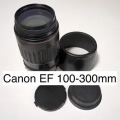 Item thumbnail for item 6cbba259-d723-4fe5-b620-6fc6a90659fe