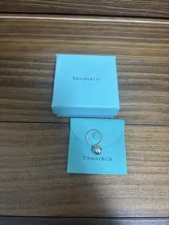 Tiffany&Co. シェルモチーフ ブローチ サファイア 18K コンビ - メルカリ