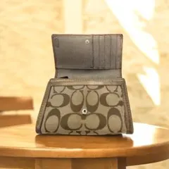 Item thumbnail for item b4e8c329-2294-4367-a85c-39a51285fb29