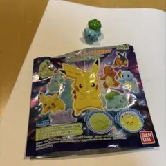 ポケモンボールチョコ 第2弾 ソーナノ - メルカリ