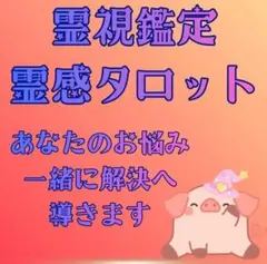 【1名で値上げ】霊視タロット鑑定 恋愛・人間関係・仕事のお悩みを深く読み解く占い