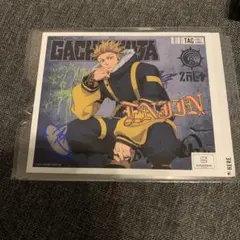 Gachia Kuta 原創標籤罐 引擎貼紙