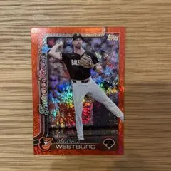 ジョーダン スポーツカード