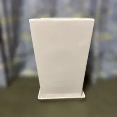 格安！1個限定！大型 スクエア陶器鉢 胡蝶蘭鉢 株苗 コチョウラン 観葉植物