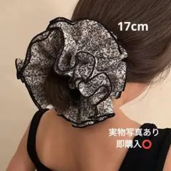 Item thumbnail for item 0198c72c-79a7-4aab-8a76-934265f56129