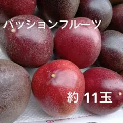 パッションフルーツ 11玉のサムネイル