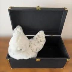 ハリー・ポッター」フクロウ、ヘドウィグのぬいぐるみとボックスセット売り