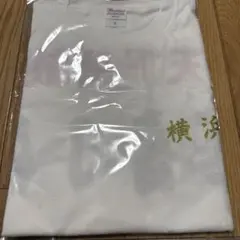 サマーポケッツ 四神Tシャツ 青龍 新品 - メルカリ