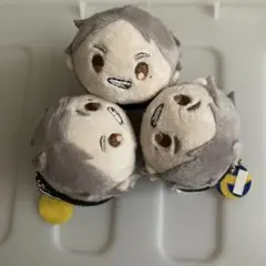 ハイキュー　もちもちマスコット　菅原孝支