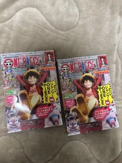 ワンピース マガジン 20号 プロモ付き 未開封