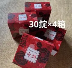 薬用炭酸入浴剤　命潤 薬用炭酸入浴剤 命潤