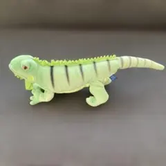 2026年最新】イグアナの人気アイテム - メルカリ