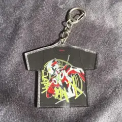 ウルトラマンエックス アクリルキーホルダー