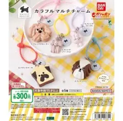 Maison terrier カラフルマルチチャーム 全5種 コンプリート