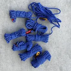 Item thumbnail for item 19d2a95c-e505-4d53-91e9-3e7603f1667a