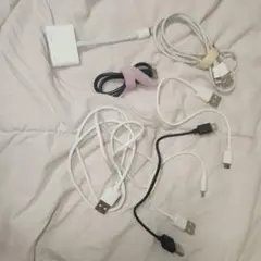 USBケーブルとApple Lightning - Digital AVアダプタ