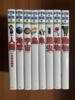 動作確認済】小学館の図鑑neo dvd 4枚 / 図鑑DVD / 学習教材 - メルカリ