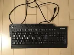 Lenovo キーボード SK-8815 (L)
