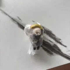 わいわい CR つまんでつなげてマスコット