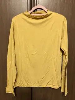 マスタードイエロー