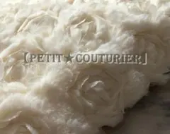 Item thumbnail for item 3d461f61-7f0d-438c-ac75-3fa4d3cbbf6a