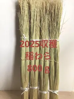 (New! 2025収穫) 稲わら800 g 【家庭菜園、正月飾り花材に最適】