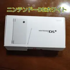 닌텐도 DSI 화이트 B