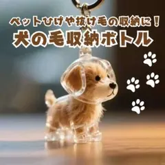 Item thumbnail for item f91156b4-5ce9-4f8c-8c78-5d5cce0e7862