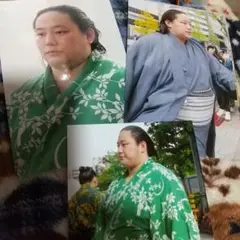大相撲三田関写真３枚Lサイズ