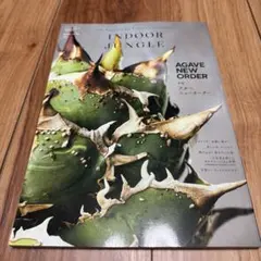 アガベ ニューオーダー INDOOR JUNGLE 雑誌