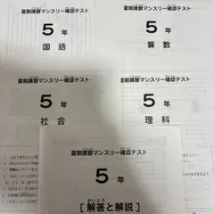 2026年最新】サピックス 5年 マンスリー確認テストの人気アイテム