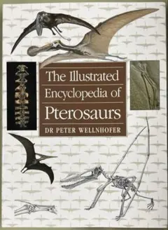 Item thumbnail for item 537f7a3a-002f-4046-b9d9-c78728fee52f