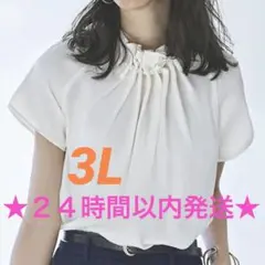 ルイルエブティック　ブラウス　パール　オフホワイト　半袖　3L 大きめ　☆新品☆