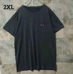 Patagonia 2XLsize 半袖Tシャツ ワンポイントロゴ ネイビー紺色のサムネイル