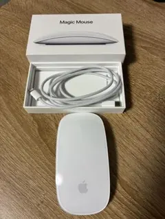 Magic Mouse