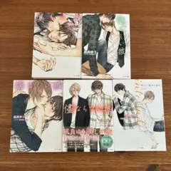 美しい彼　シリーズ　5冊セット