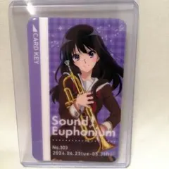 【即購入可】響け!ユーフォニアム 高坂麗奈