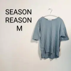 S540 SEASON REASON 半袖Tシャツ M ライトブルー 綿