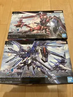 ライジングフリーダム&イモータルジャスティス　HG 1/144