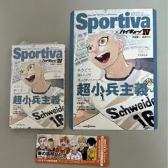 ハイキュー　ショーセツバン　B5ビジュアルボード