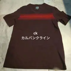 Calvin Klein M Tシャツ ダークブラウン×赤