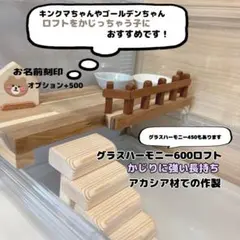 ハムスターロフト かじり防止ロフト グラスハーモニー600専用 - メルカリ