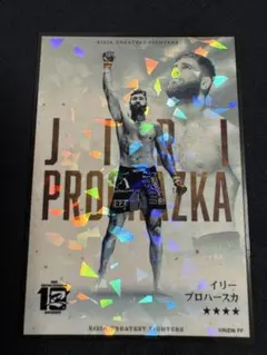 2026年最新】イリープロハースカの人気アイテム - メルカリ